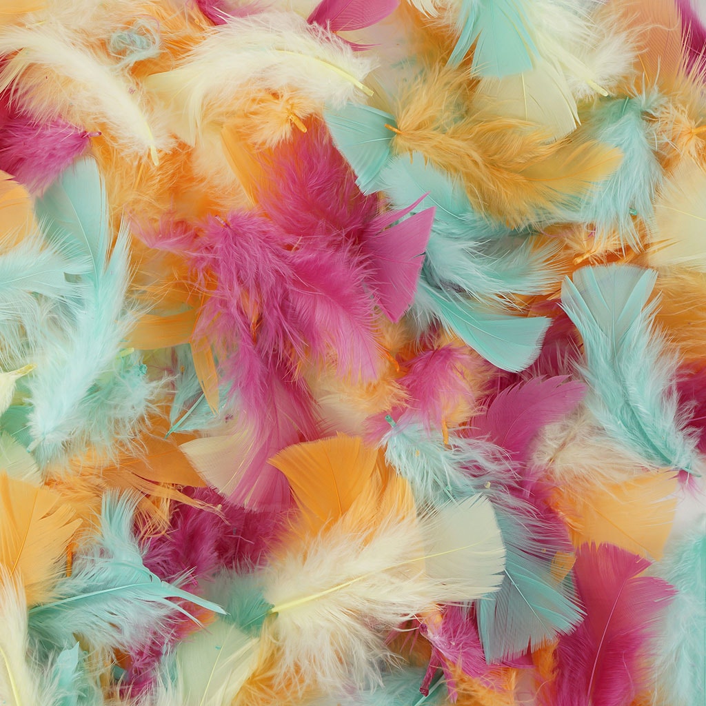 Loose Turkey Plumage Mix Dyed Feathers - Melon - Feathers