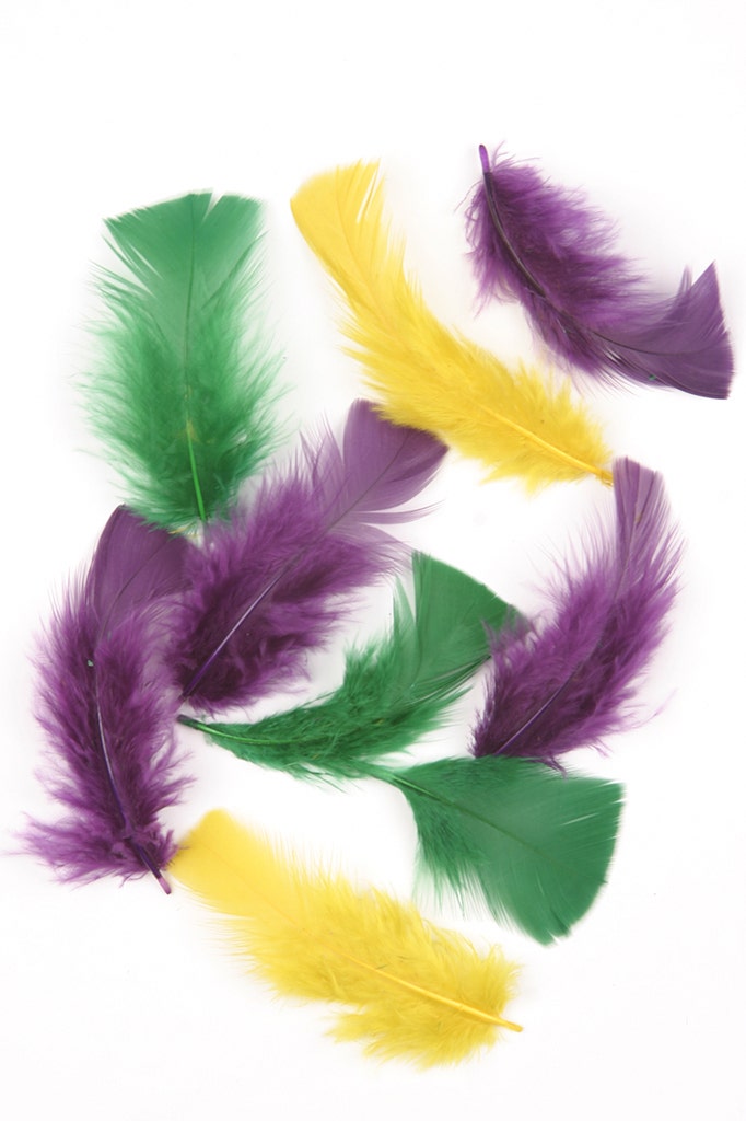 Loose Turkey Plumage Mix Dyed - Mardigras Mix - Feathers