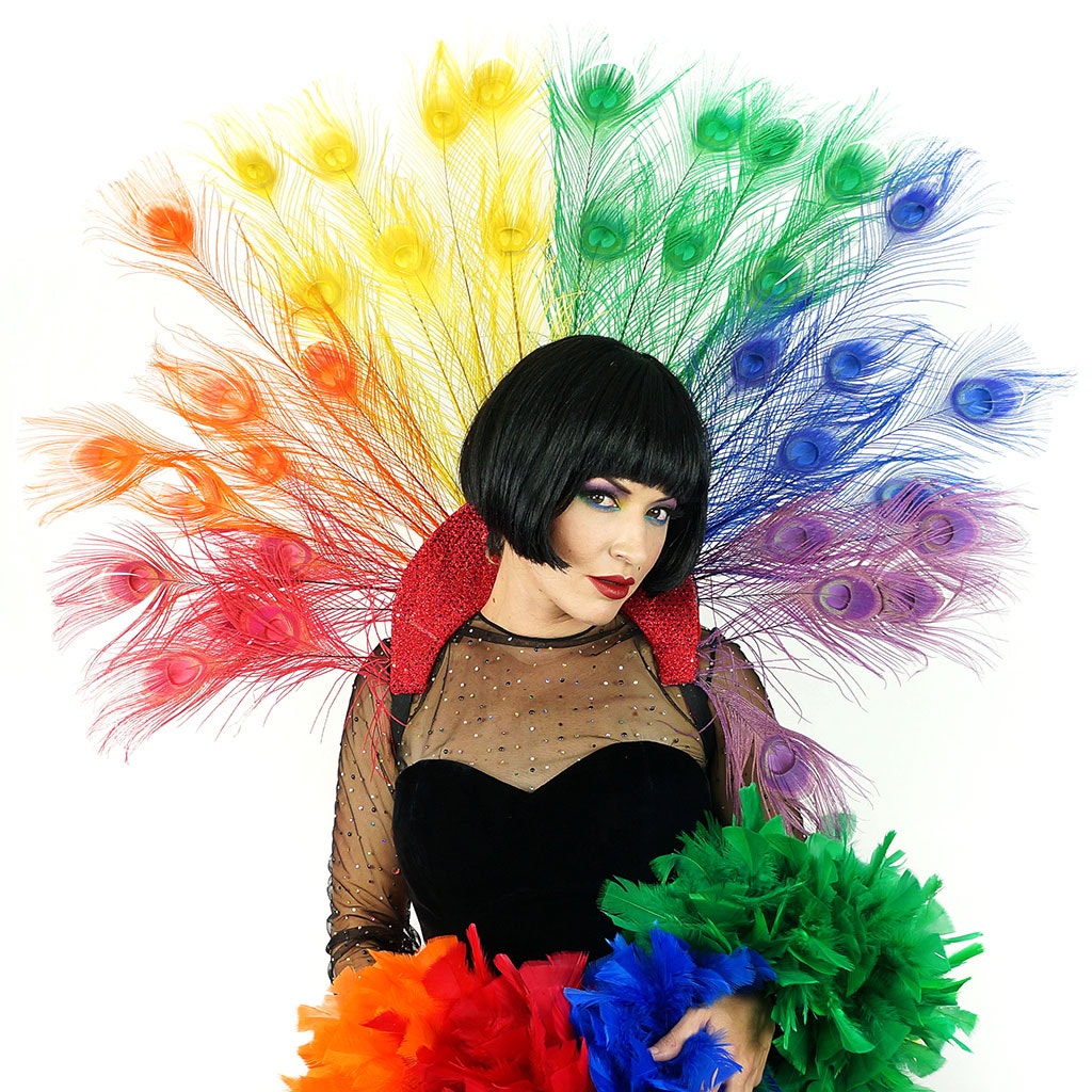 Majestic Rainbow Peacock Collar Headdress - Rainbow - Feathers