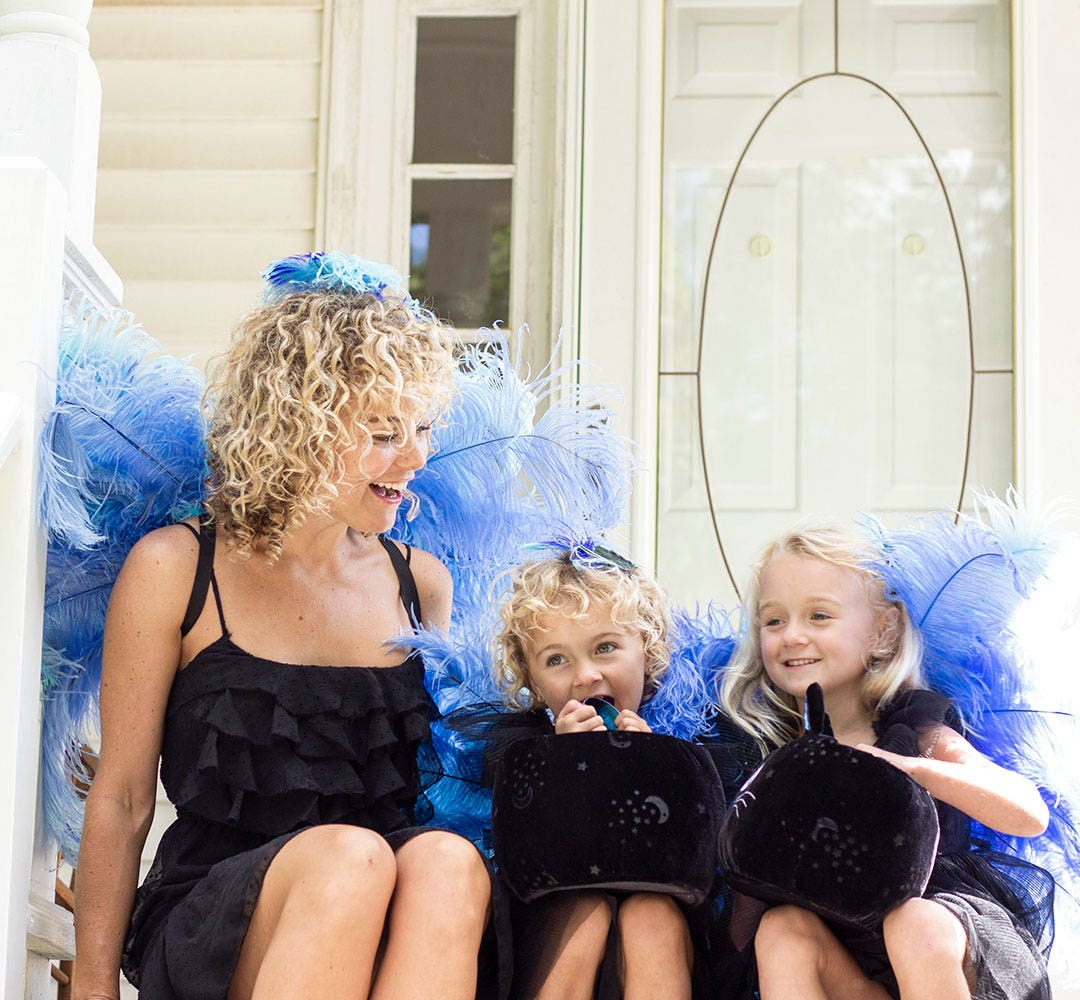 Medium Bluebird Costume Wings - Feathers