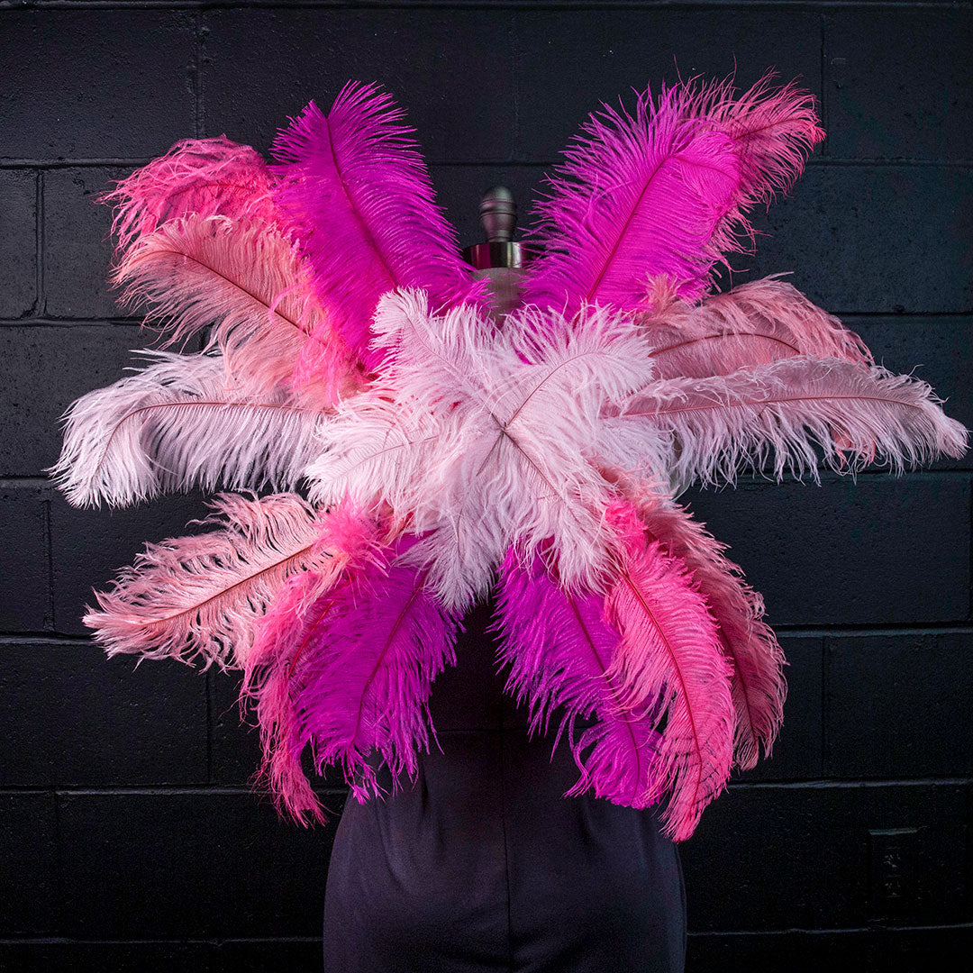 Medium Upcycled Ostrich Feather Costume Wings - Flamingo - Feathers