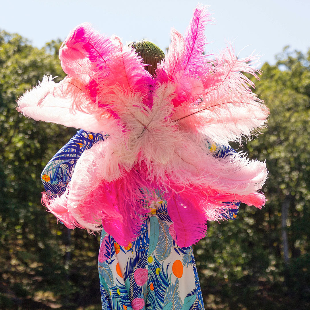 Medium Upcycled Ostrich Feather Costume Wings - Flamingo - Feathers