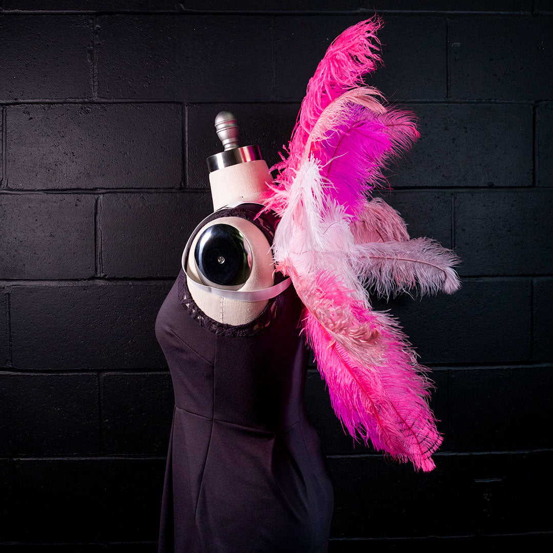 Medium Upcycled Ostrich Feather Costume Wings - Flamingo - Feathers