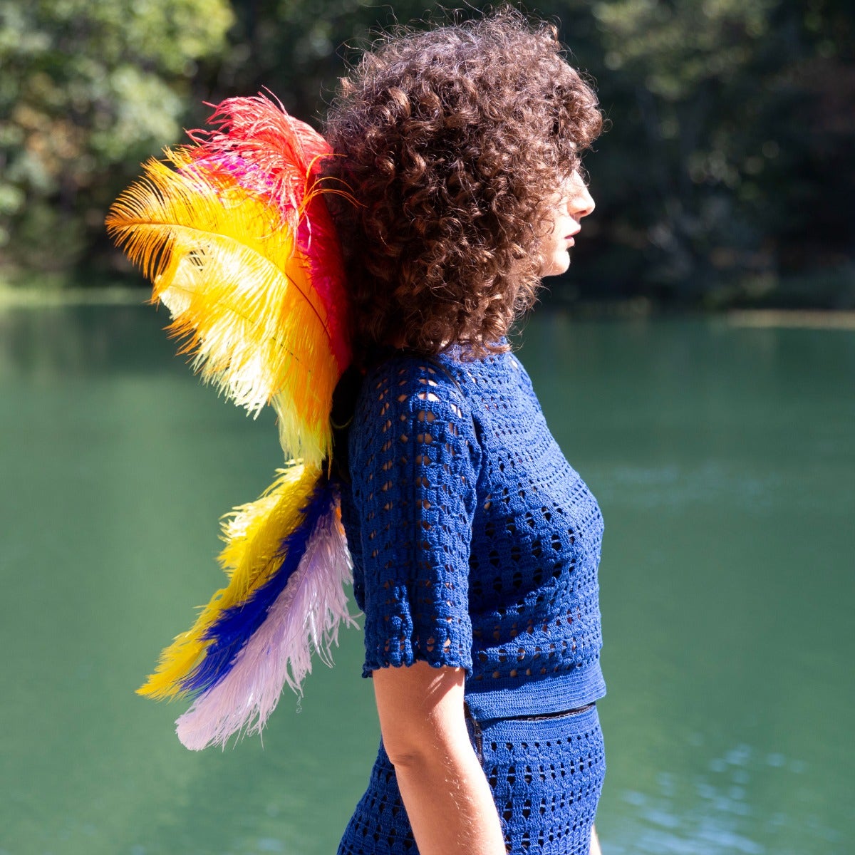 Medium Upcycled Ostrich Feather Costume Wings - Rainbow - Feathers