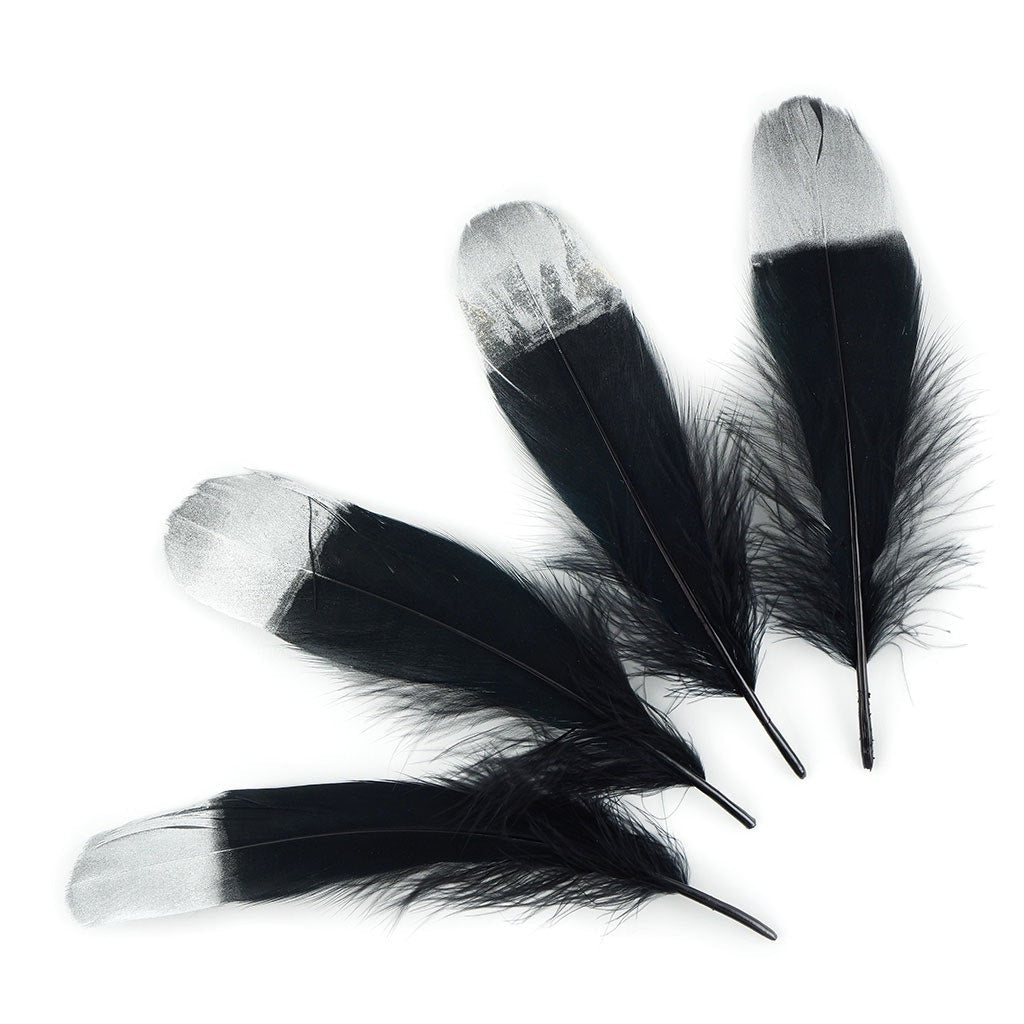 Metallic Tipped Goose Pallet Feather - Black and Silver - Feathers