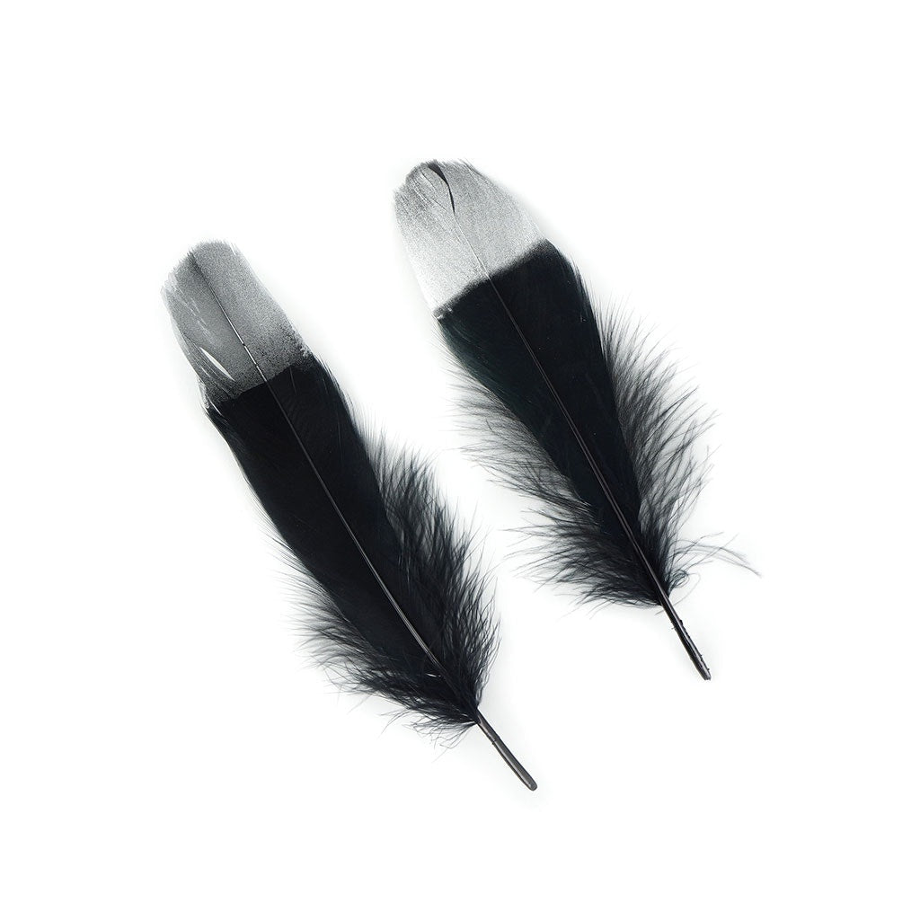 Metallic Tipped Goose Pallet Feather - Black and Silver - Feathers