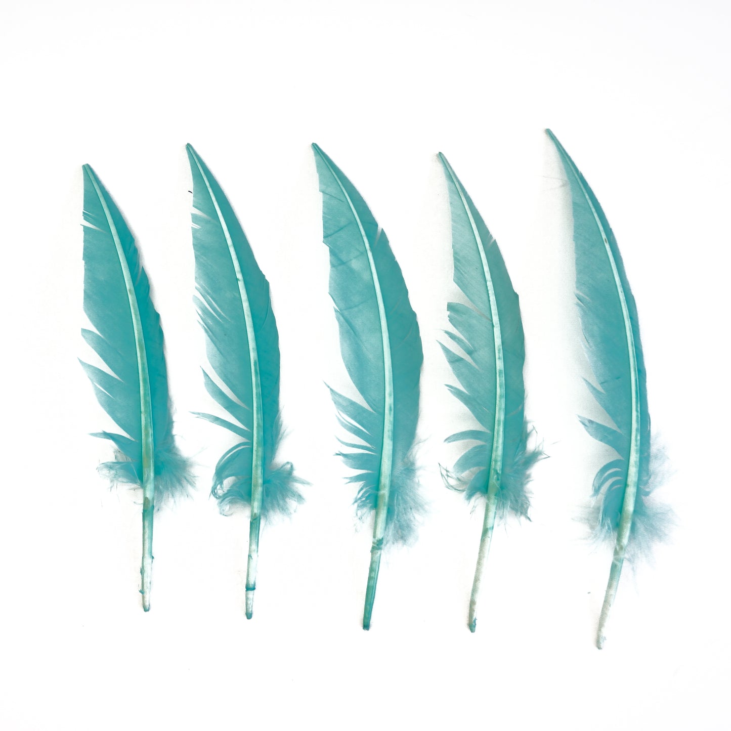 Mint Green Dagger Turkey Quill Feathers 9-12"