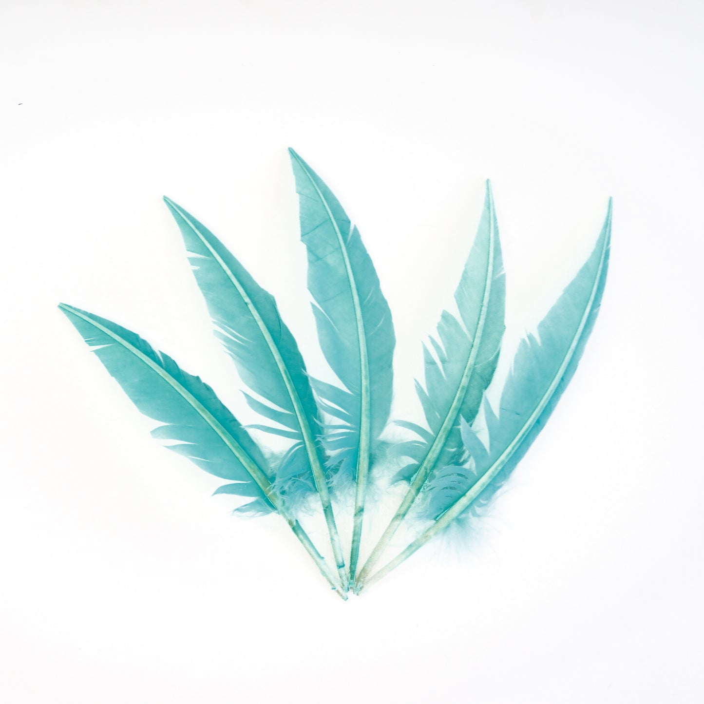 Mint Green Dagger Turkey Quill Feathers 9-12"