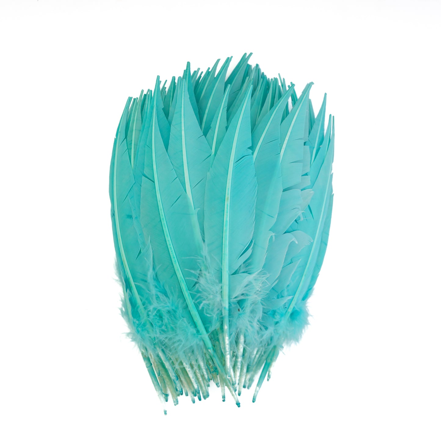 Mint Green Dagger Turkey Quill Feathers 9-12"