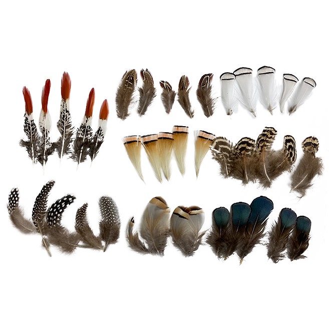 Mixed Natural Un-dyed Feathers 1.5-4” 40 PC - Feathers