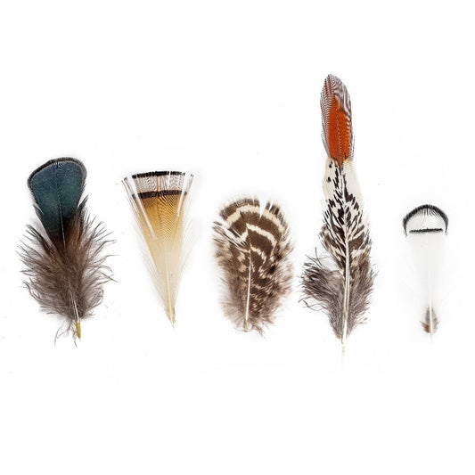 Mixed Natural Un-dyed Feathers 1.5-4” 40 PC - Feathers