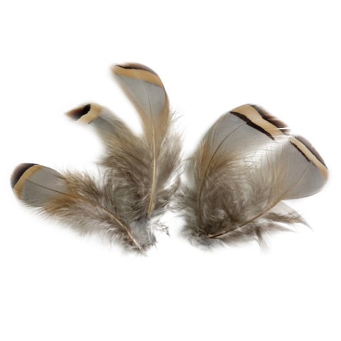 Mixed Natural Un-dyed Feathers 1.5-4” 40 PC - Feathers