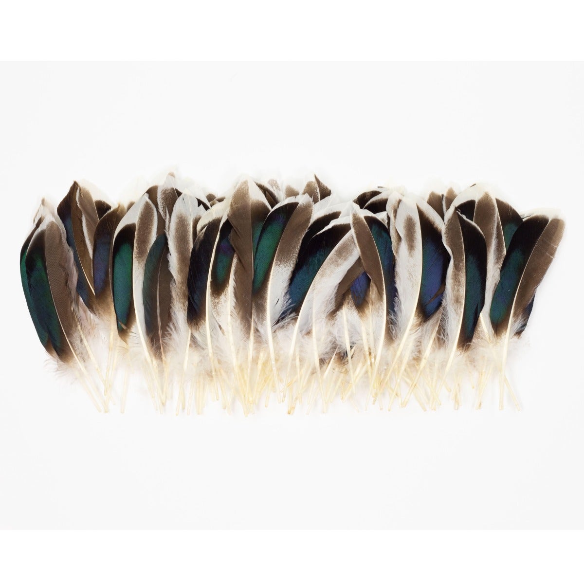 Natural Duck Feathers 3-5’’ - 100 pcs - Feathers