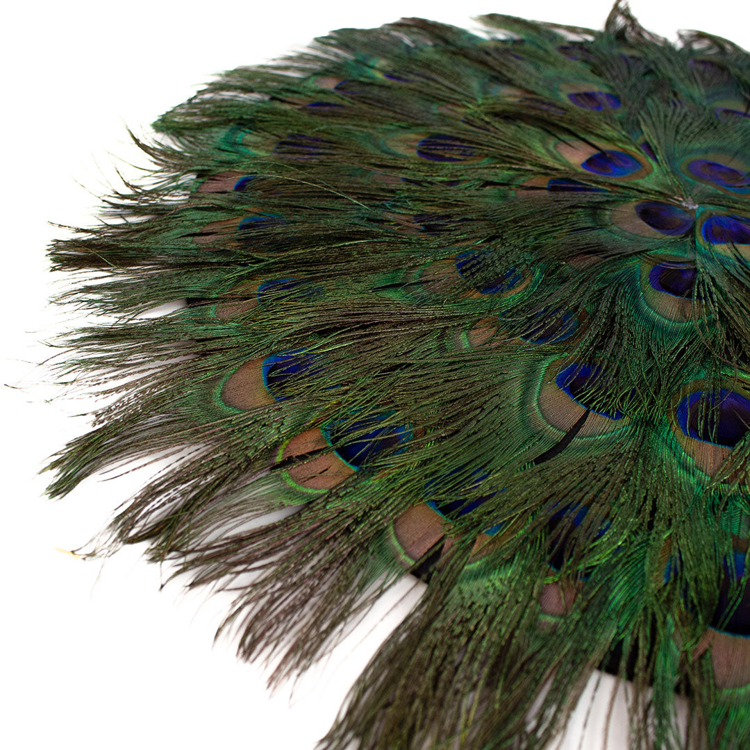 Peacock Eye Feather Placemat