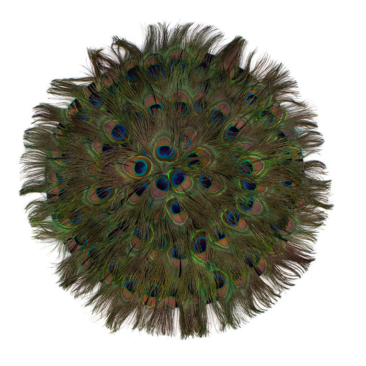 Peacock Eye Feather Placemat