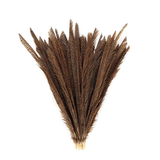 Natural Golden Pheasant Tail Center Feathers 20 inches & up 100 pieces 2nd Quality Feathers - Feathers