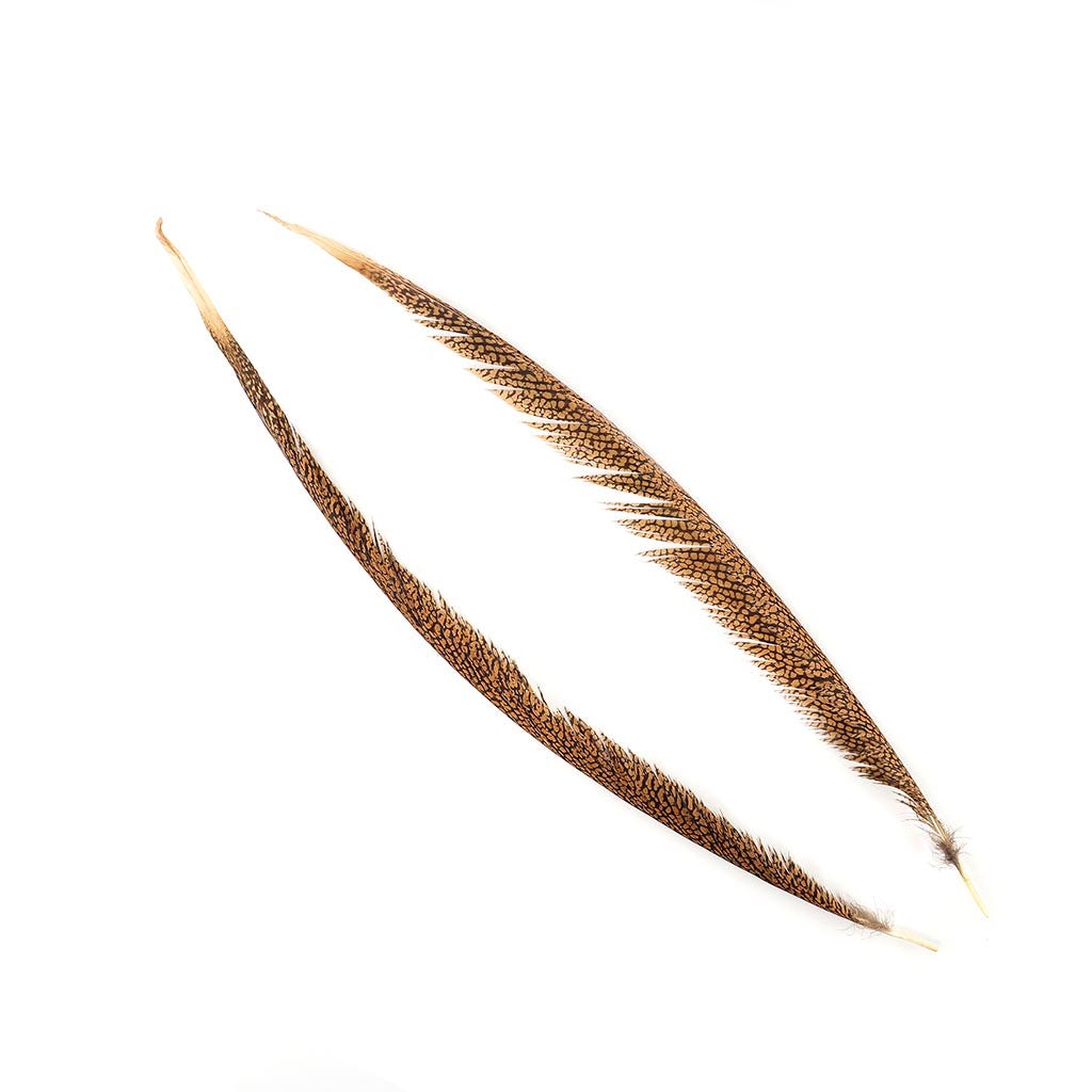 Natural Golden Pheasant Tail Center Feathers 20 inches & up 100 pieces 1st Quality Feathers - Feathers