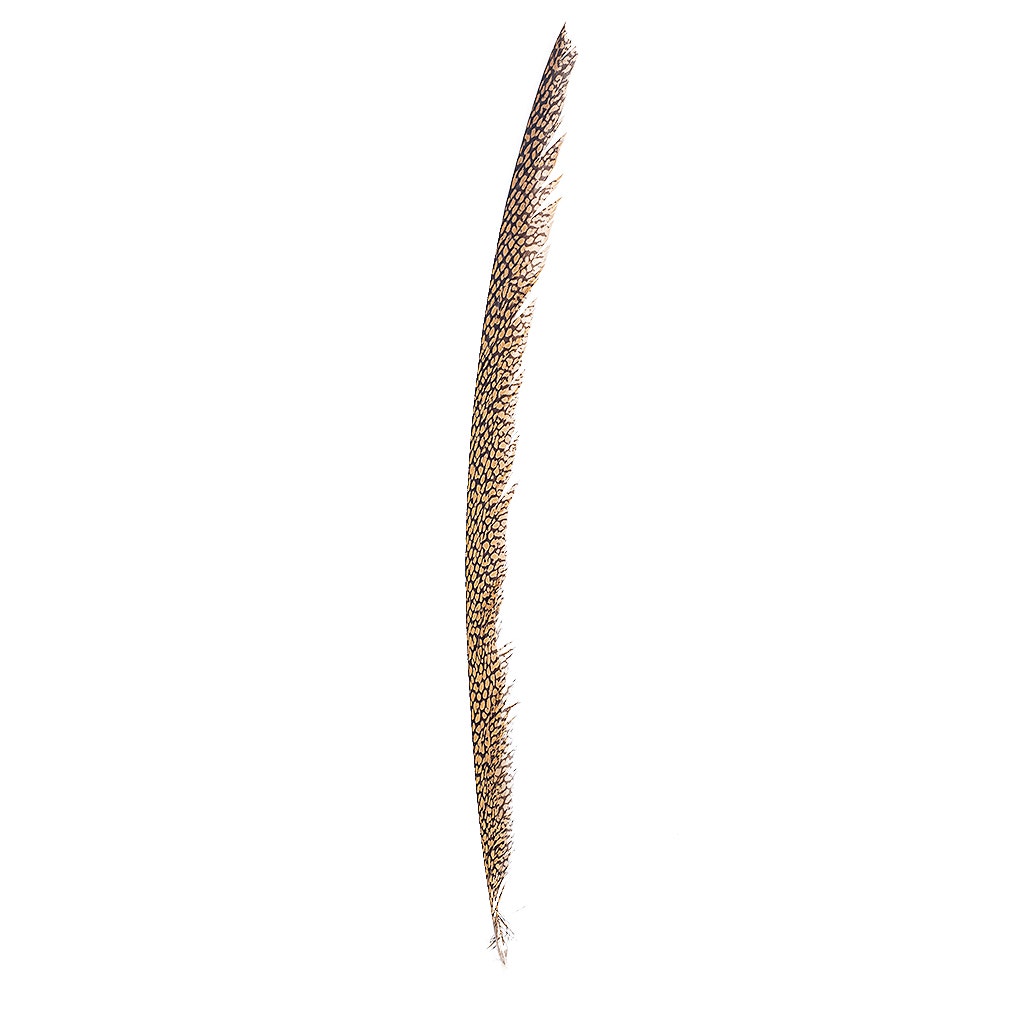 Natural Golden Pheasant Tail Center Feathers 20 inches & up 100 pieces 1st Quality Feathers - Feathers