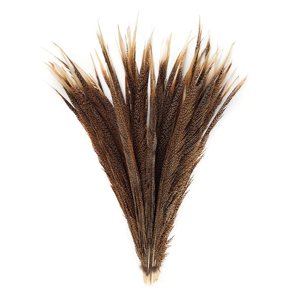 Natural Golden Pheasant Tail Center Feathers 20 inches & up 100 pieces 1st Quality Feathers - Feathers