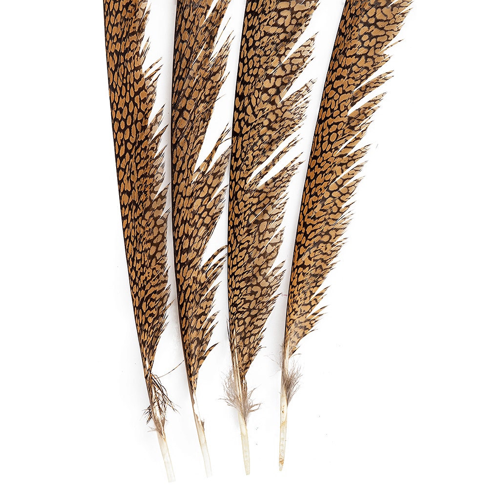 Natural Golden Pheasant Tail Center Feathers 20 inches & up 100 pieces 1st Quality Feathers - Feathers