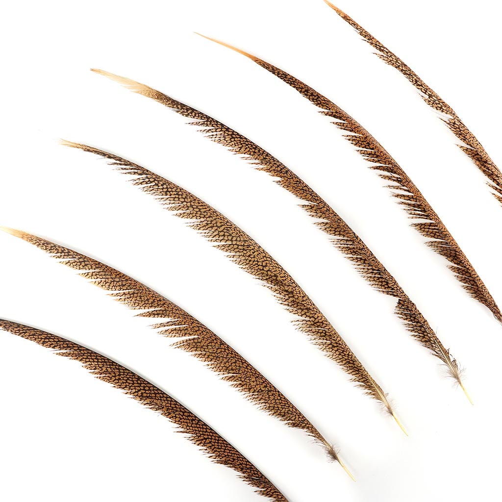 Natural Golden Pheasant Tail Center Feathers 20 inches & up 100 pieces 1st Quality Feathers - Feathers