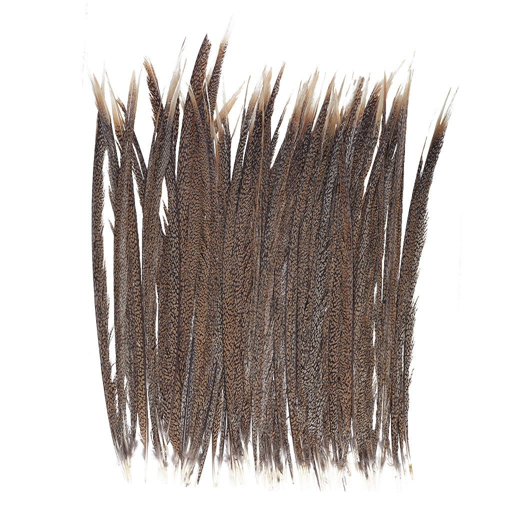 Natural Golden Pheasant Tail Center Feathers 20 inches & up 100 pieces 1st Quality Feathers - Feathers