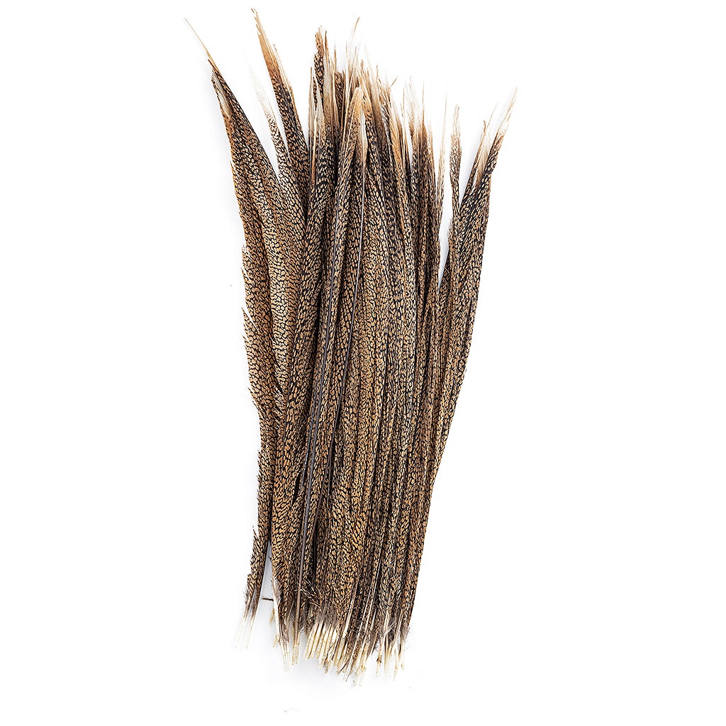 Natural Golden Pheasant Tail Center Feathers 20 inches & up 100 pieces 1st Quality Feathers - Feathers