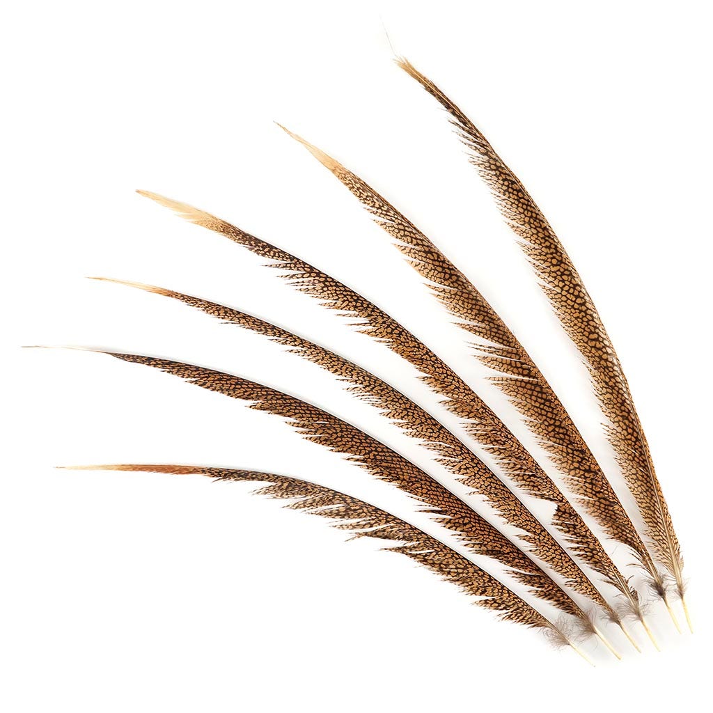 Natural Golden Pheasant Tail Center Feathers 20 inches & up 100 pieces 1st Quality Feathers - Feathers