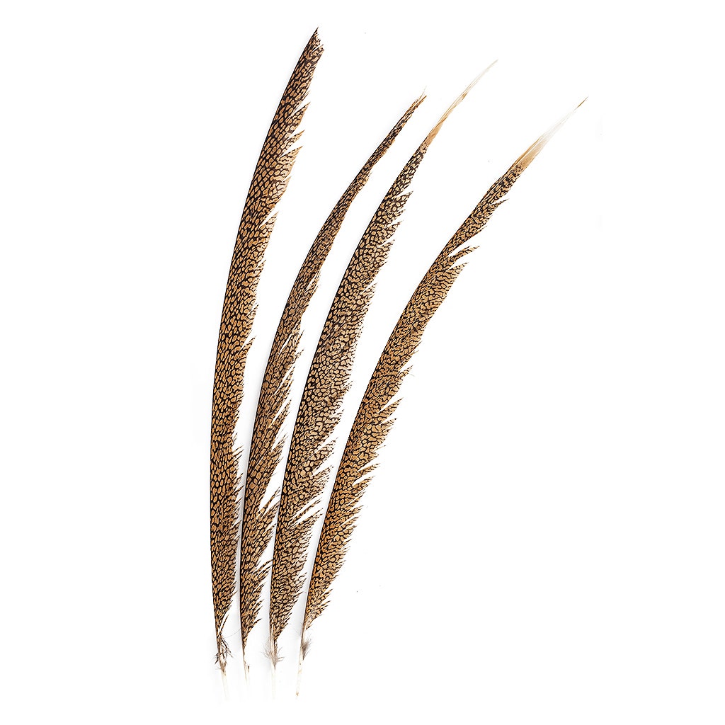 Natural Golden Pheasant Tail Center Feathers 20 inches & up 100 pieces 1st Quality Feathers - Feathers