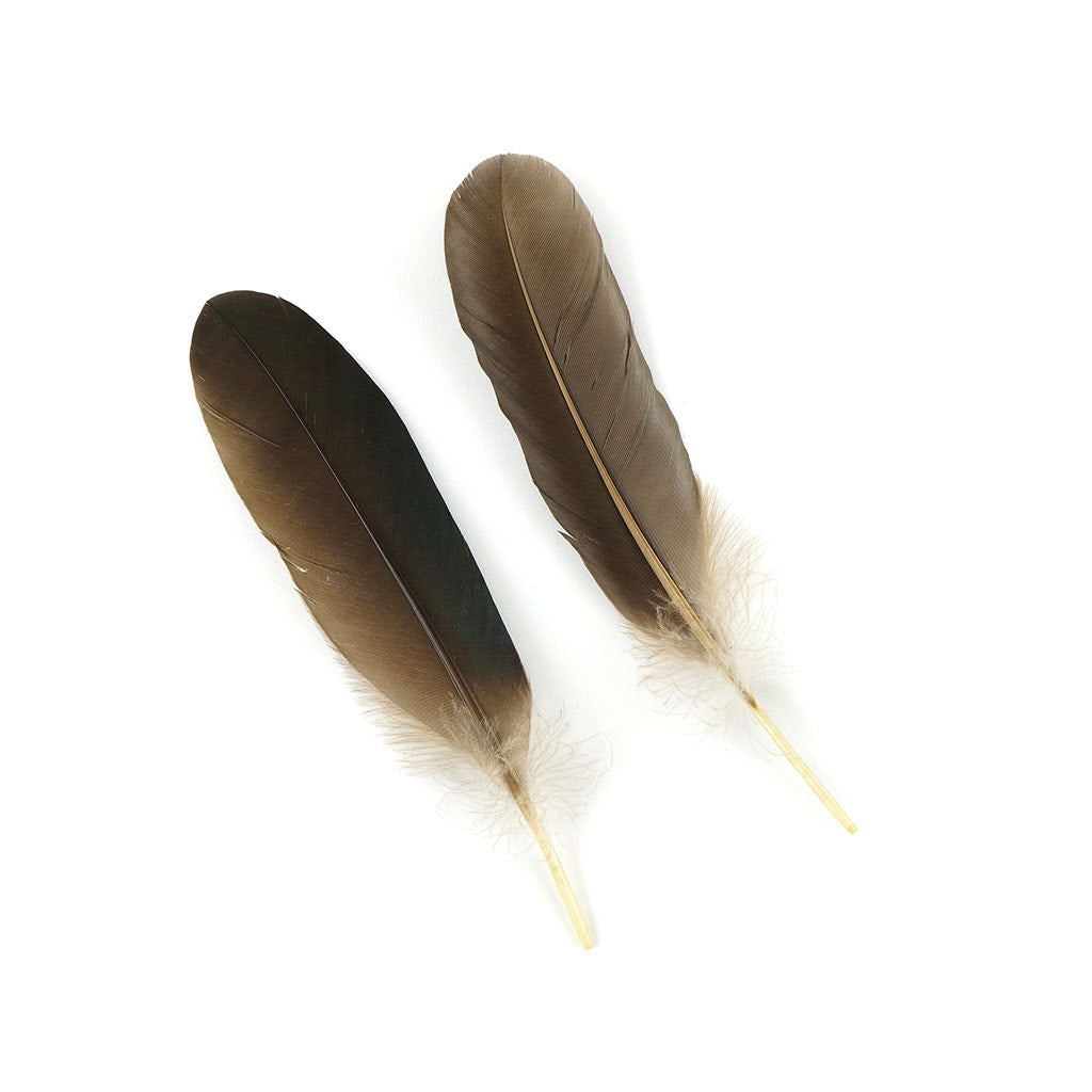 Goose Favion Feathers Natural