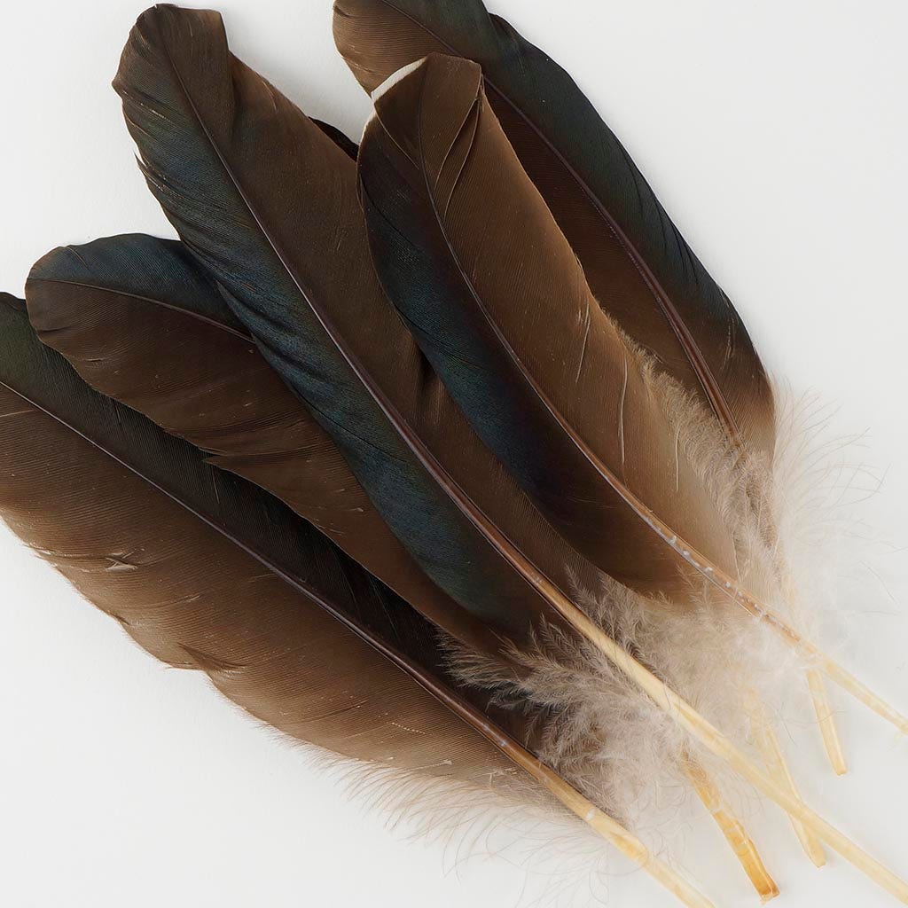 Brown Feathers Goose Quill Large