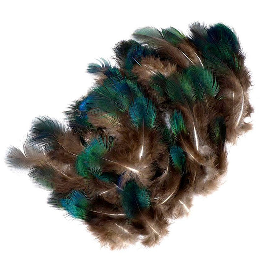 Natural Green Peacock Feather Plumage [{WEDDING CENTERPIECES}] - Natural - Feathers