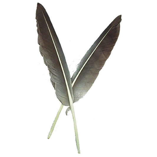 Natural Grey Goose Pointers - 100 pcs - Feathers