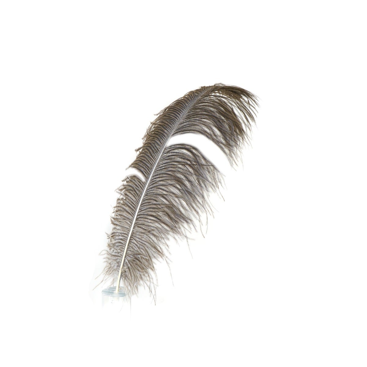 Bulk Ostrich Feathers-Damaged Drabs - Natural