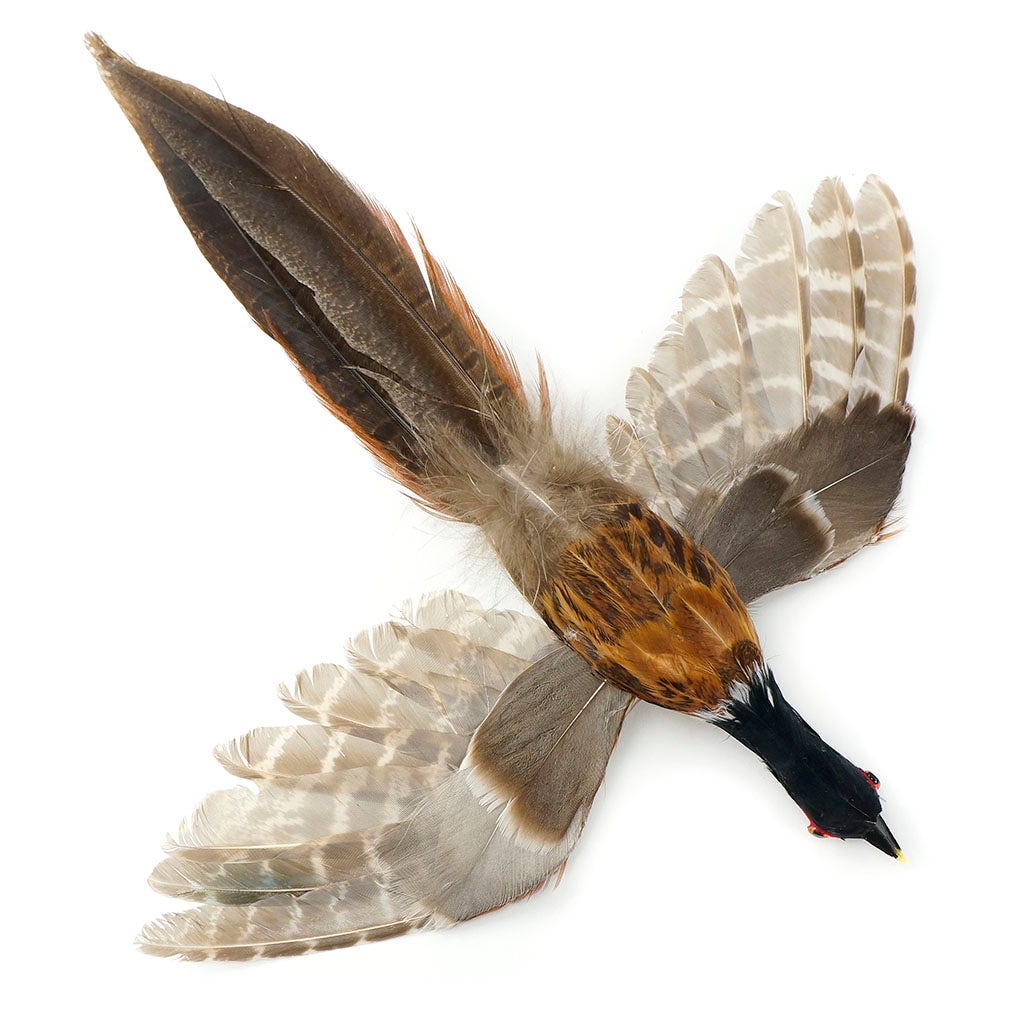 Natural Pheasant Bird Feather Ornament - Feathers