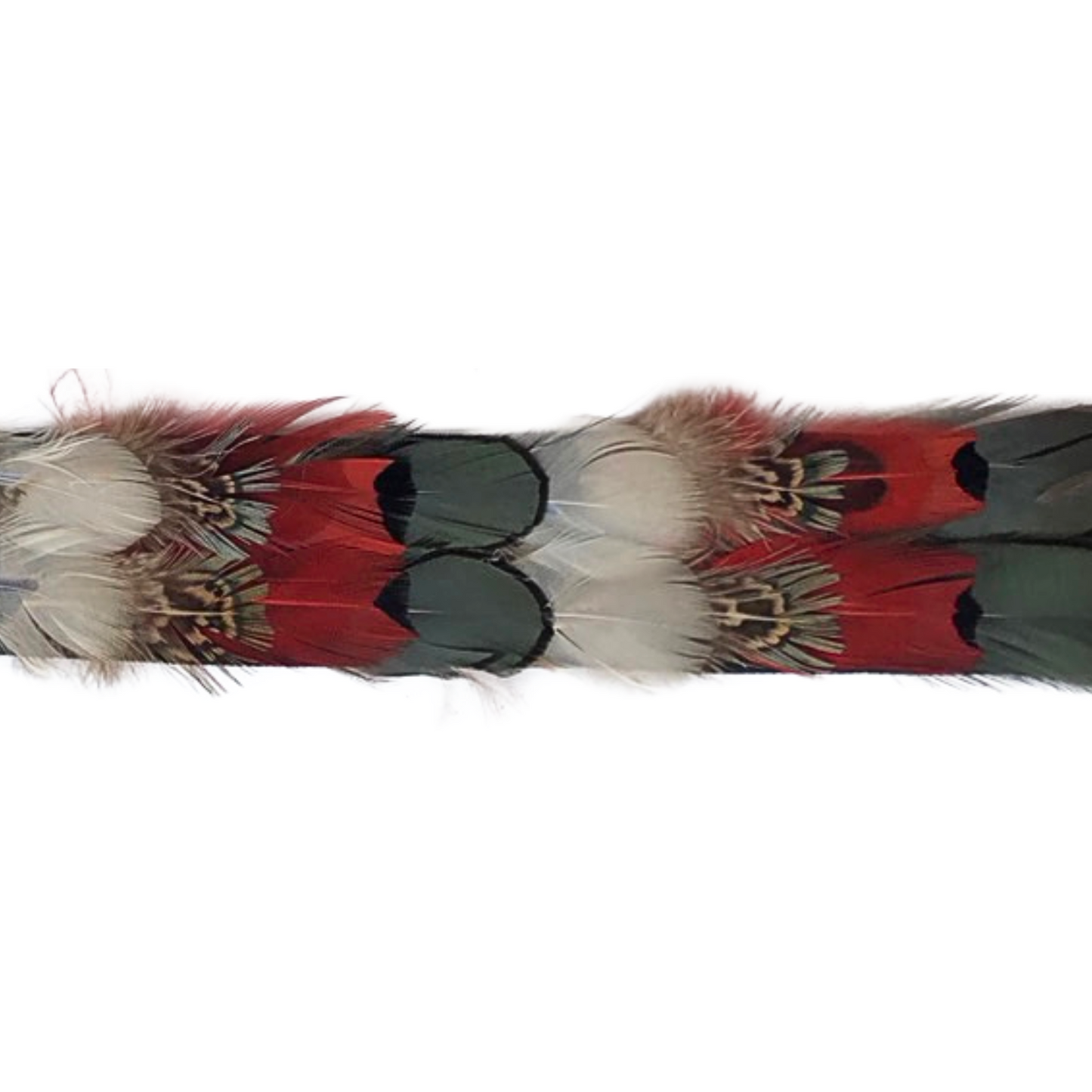 Natural Ringneck and Lady Amherst Pheasant Feather Tape 1.5 inch 3yd Rol