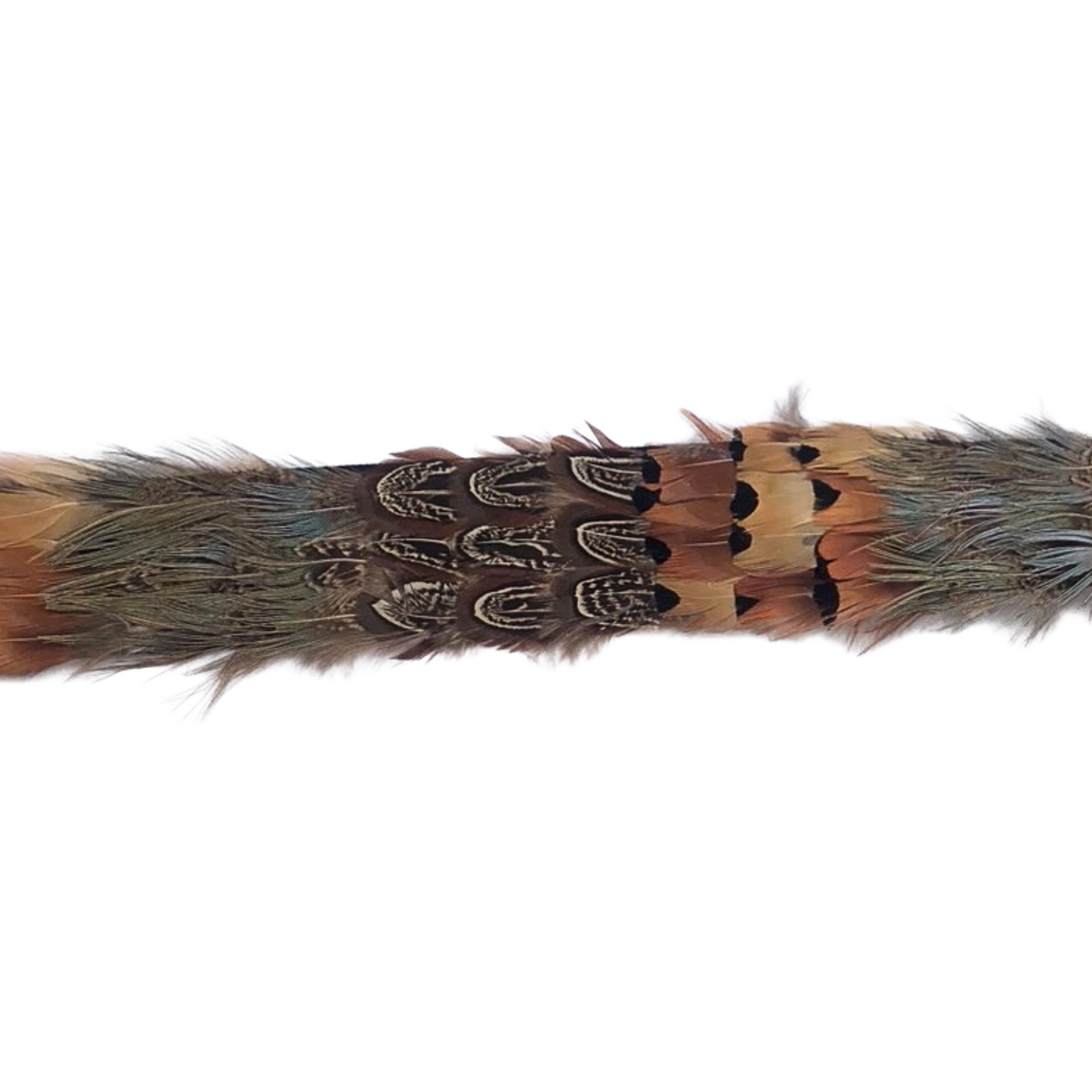 Ringneck Phesant Multi Tape 1.5 inch   3yd Roll --Natural