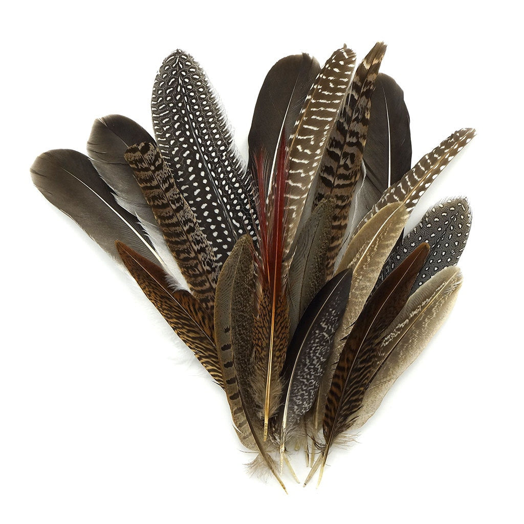 Assorted Guinea and Goose Rounds Quill & Pheasant Tails Natural