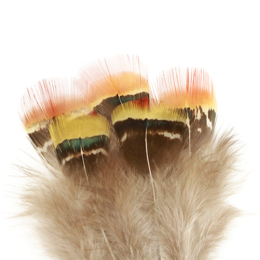 Lady Amherst Pheasant Plumage Mix 1.5-3 inch   0.10 OZ --Natural