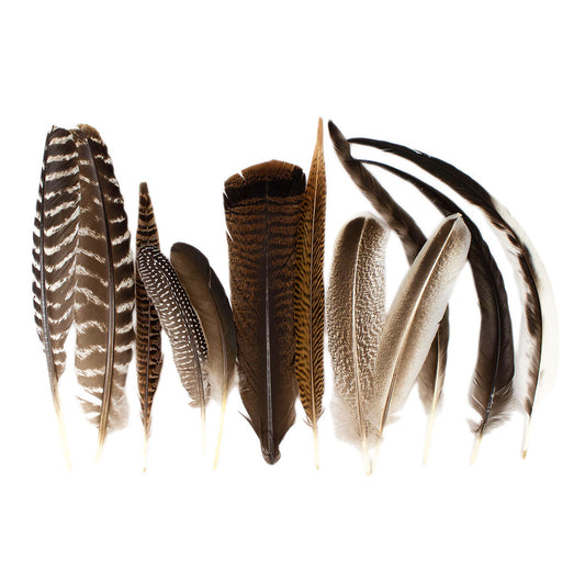 Pheasant Guinea Turkey Rooster Feather Festival Mix 6-16 inch 12pcs