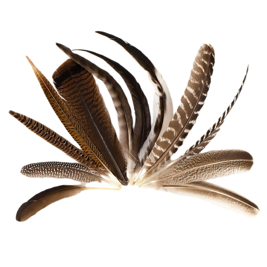 Pheasant Guinea Turkey Rooster Feather Festival Mix 6-16 inch 12pcs