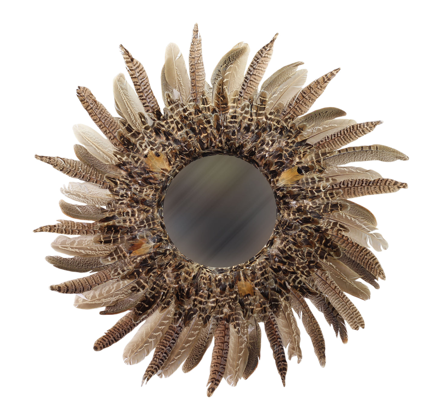 Pheasant Feather Mirror Home Decor