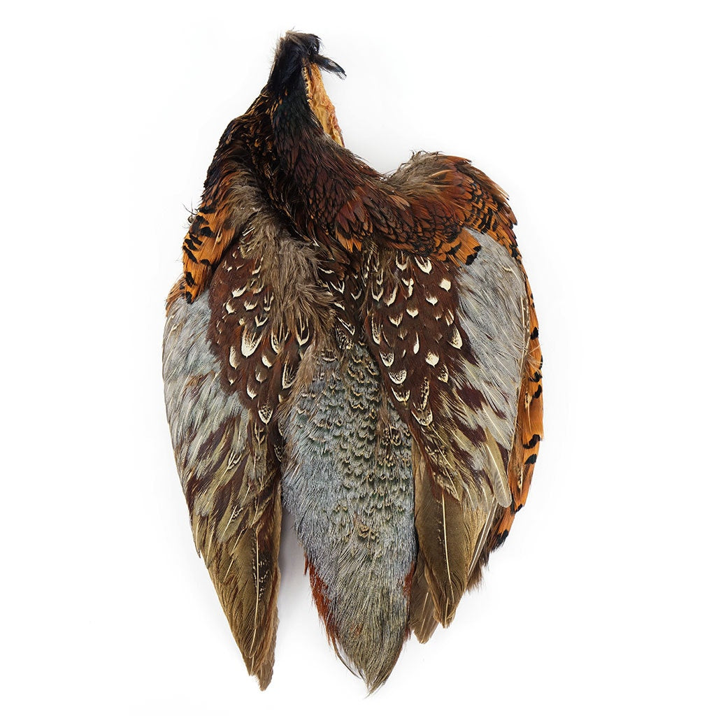 Natural Ringneck Pheasant Pelt - No Neck - 1 PC