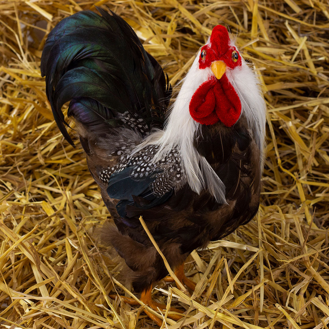 Natural Rooster Farmhouse Decor