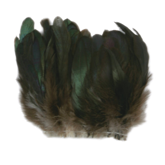 1 Dozen - Aqua Green Stripped Coque Tail Feathers