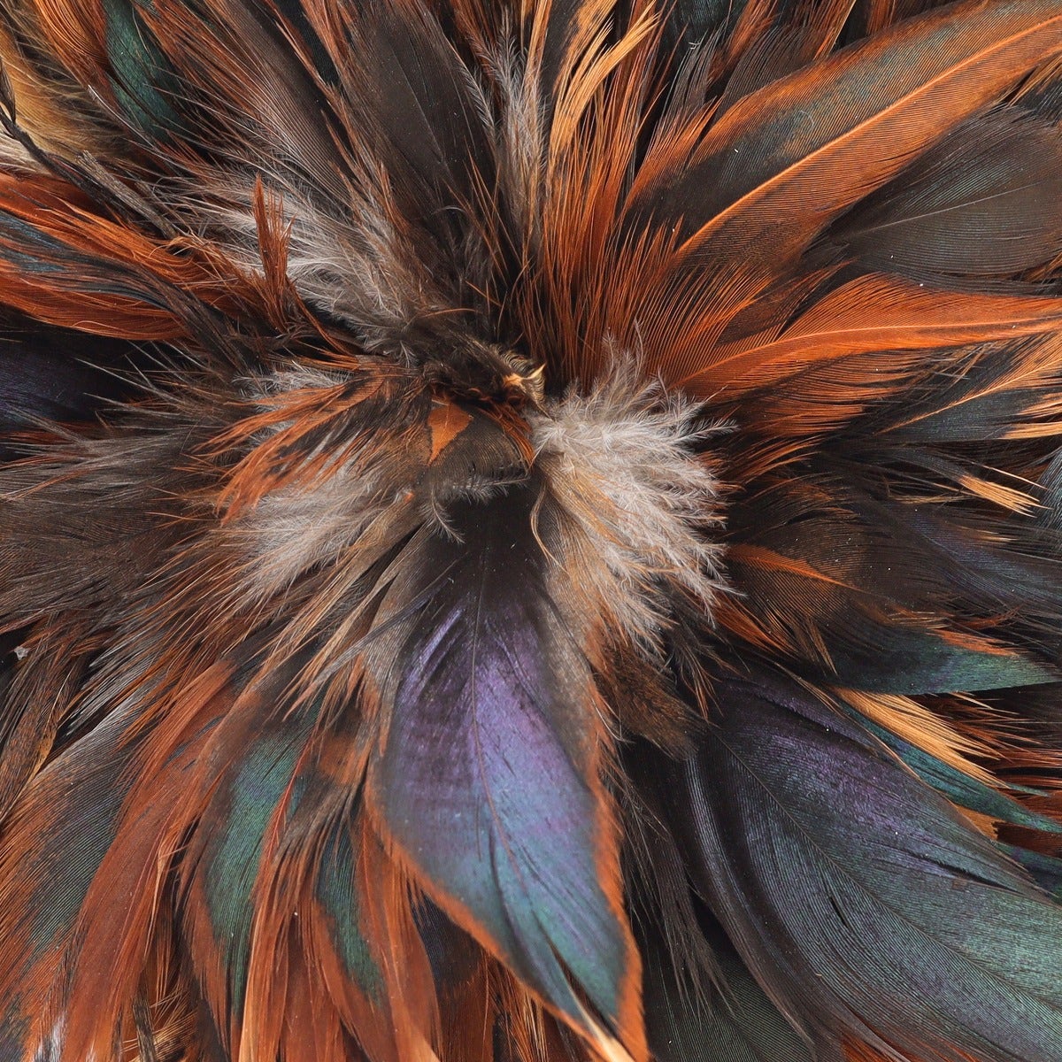 Natural Rooster Feathers 2’’ strip of 4-6” Rooster Strung Craft Feathers - Natural - Feathers