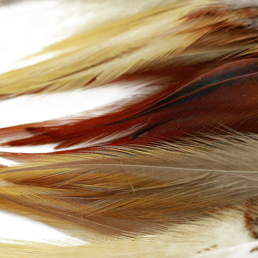Natural Loose Rooster Saddle Feather 3-6" Assorted 100 pc