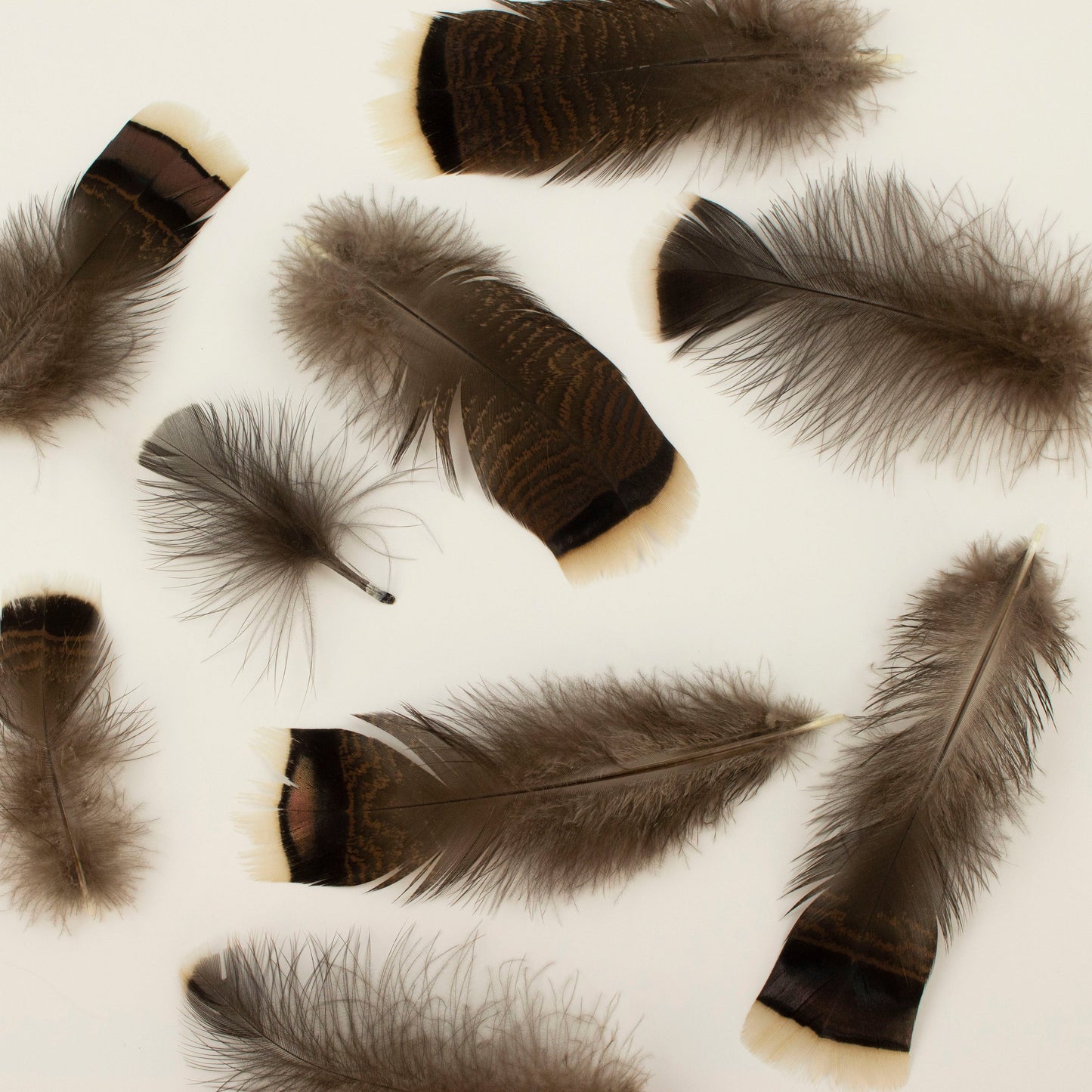 Natural Turkey Bronze Feathers 3-8’’ - Loose 1/4 lb - Turkey Feathers