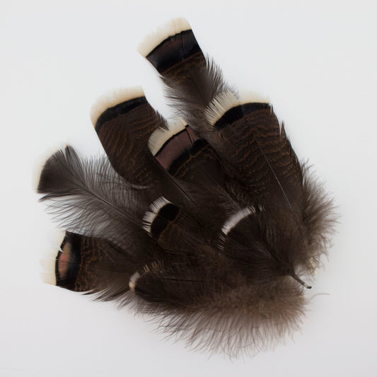 Natural Turkey Bronze Feathers 3-8’’ - Loose 1/4 lb - Turkey Feathers