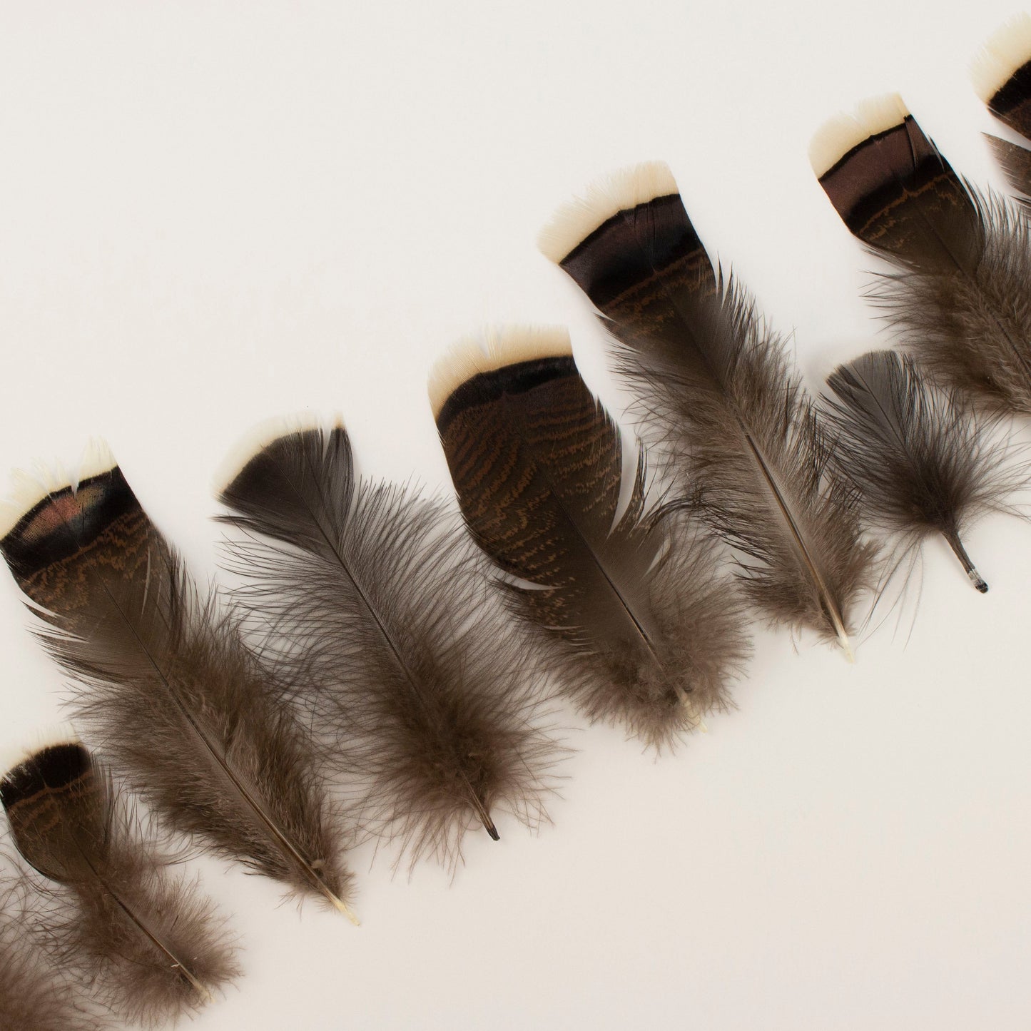 Natural Turkey Bronze Feathers 3-8’’ - Loose 1/4 lb - Turkey Feathers